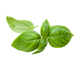 Genovese