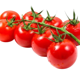 Sakura Cherry Tomato