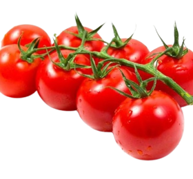 Sakura Cherry Tomato