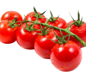 Sakura Cherry Tomato