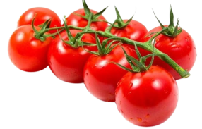Sakura Cherry Tomato