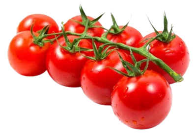 Sakura Cherry Tomato