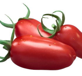 Pozzano Tomato