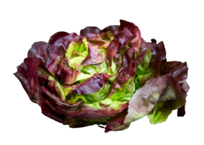 Red Butter Salanova